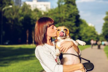 El menú barf para perros